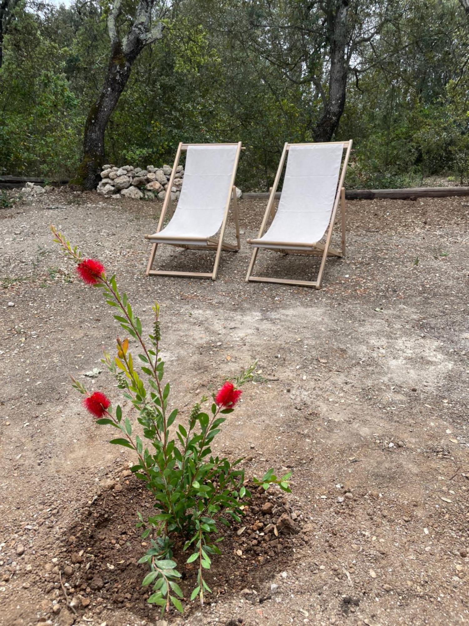 La Parenthese Du Var - Chambre D'Hotes Petits Dejeuners Inclus Et Terrasse Ombragee Saint-Antonin-du-Var Zewnętrze zdjęcie
